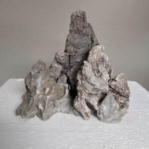 tree root driftwood (copy)