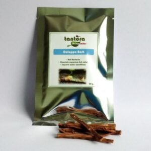 catappa bark tantora nature (3 pieces)