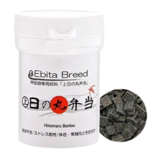 ebita breed hinomaru bentou 20g