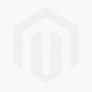 skip to the beginning of the images gallery fissidens nobilis mat (3" x 3") (copy)